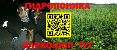ALPHA PVP Ирбит