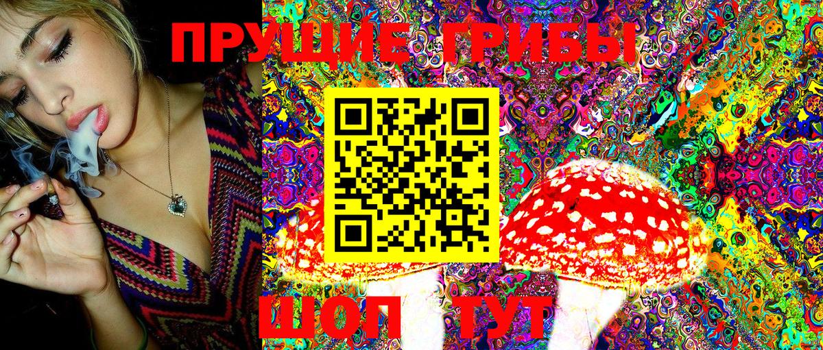 Кизляр  Псилоцибиновые грибы Magic Shrooms  Вход с VPN  купить закладку  Галлюциногенные грибы Cubensis 